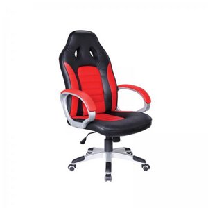 ���� �������