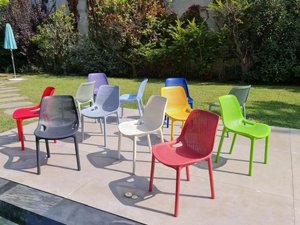 ���� ����� �������