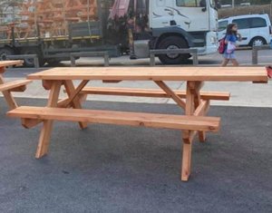 ���� ��� ���� �� ������