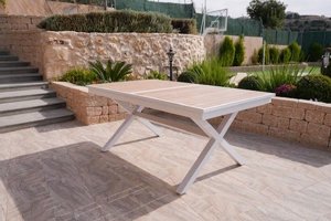 ����� X ����